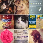 My 2015 Instagram Recap