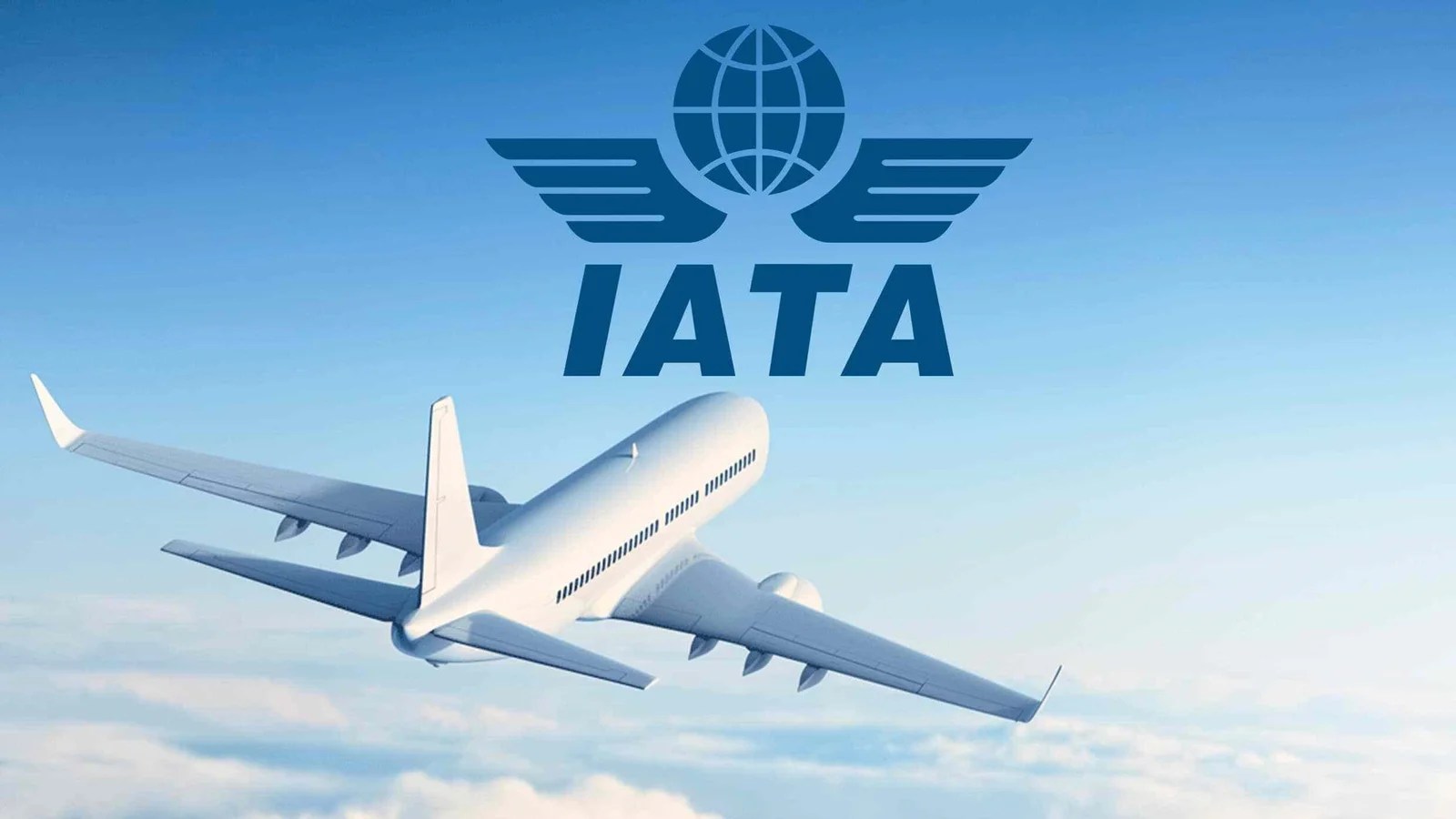 IATA The Business of Freedom Blue Ocean Academy