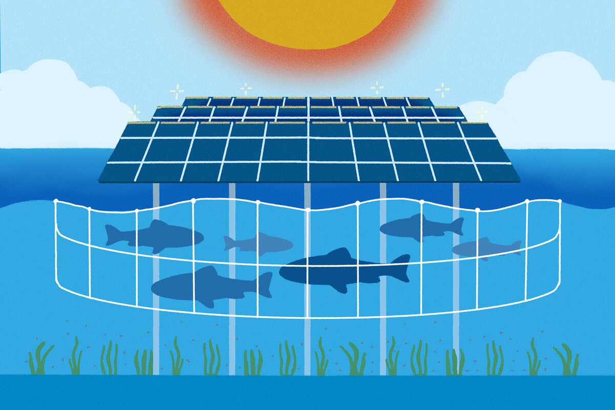 Tongwei’s Innovation of a Brand-new Green Energy Market in China