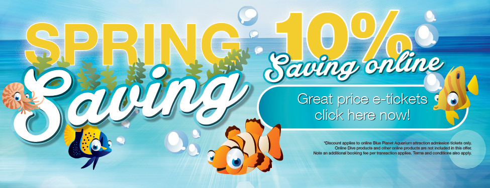 Blue Aquarium Promo Code 2019 Aquarium Views