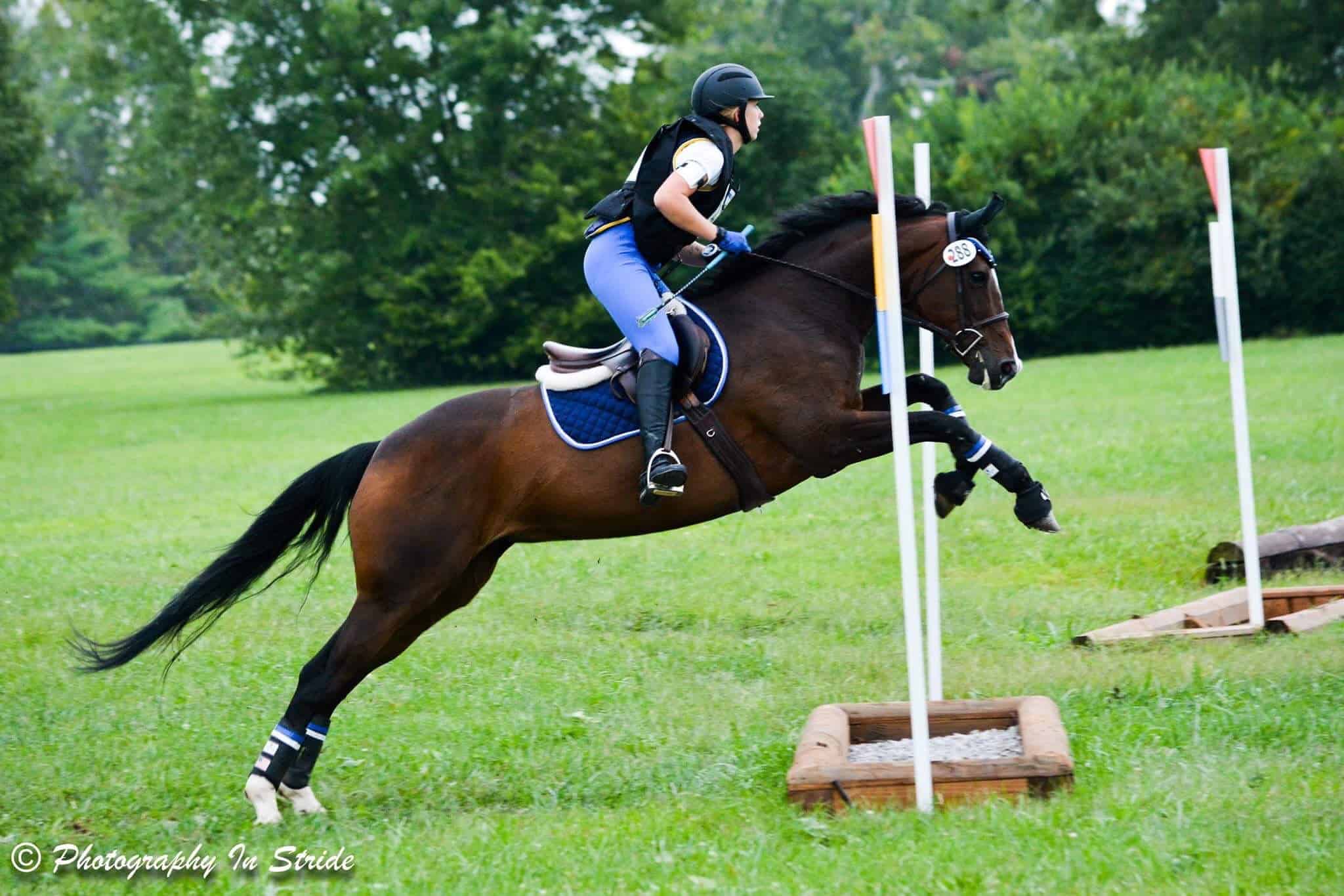 Logan Dickson Horseback Riding Instructor North Ridgeville Blue