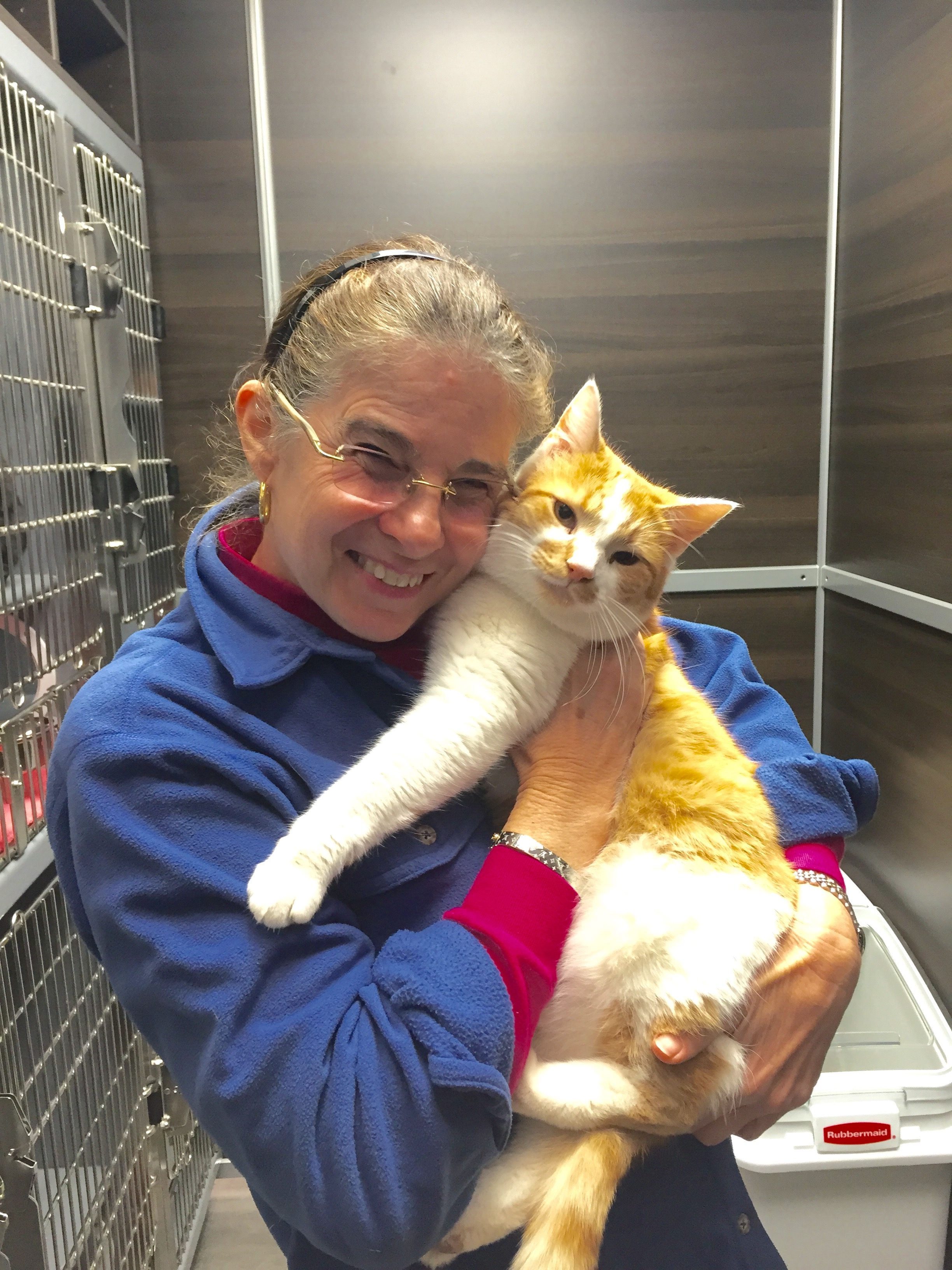 Come Check Out some of our Cats at Petsmart Hendersonville Blue Ridge
