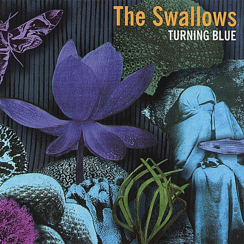 The Swallows Turning Blue Blue Rodeo
