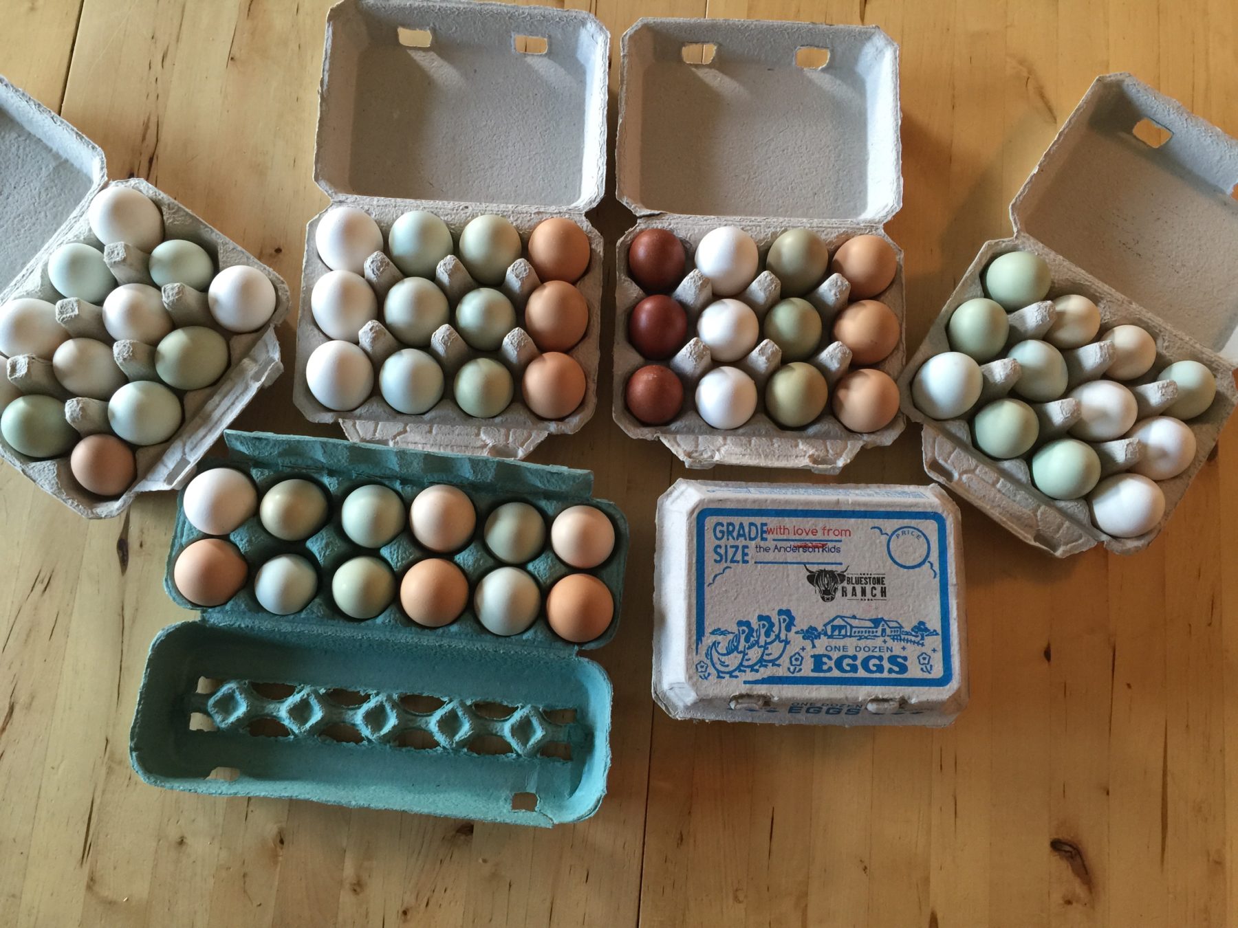 Bluestone Ranch Free Range Corn & SoyFree Eggs (1 doz.) Bluestone Ranch