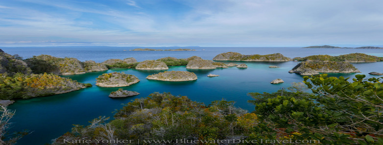 Raja Ampat on the Aurora 2023 - Bluewater Dive Travel
