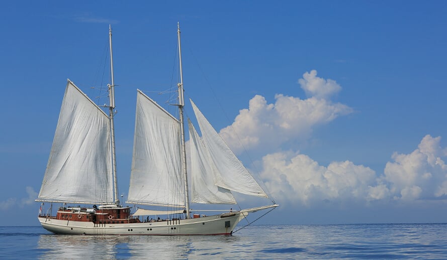 Mutiara Laut Liveaboard Indonesia Reviews & Specials Bluewater Dive