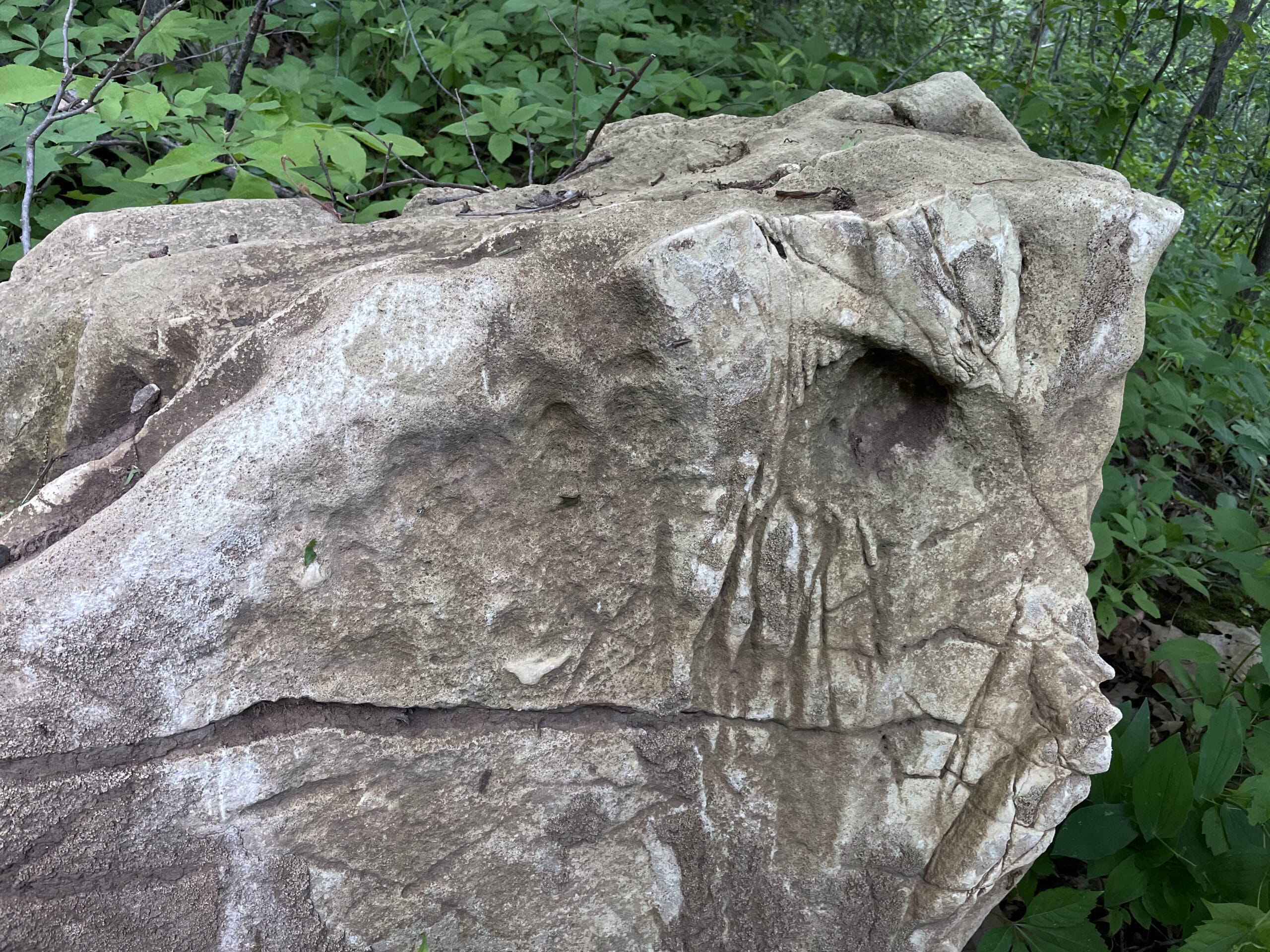 Land for Sale Buffalo County WI Bluff Property for Sale