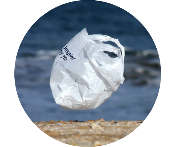 singleuse plastic bags. Singleuse plastic bags catch wind and travel g