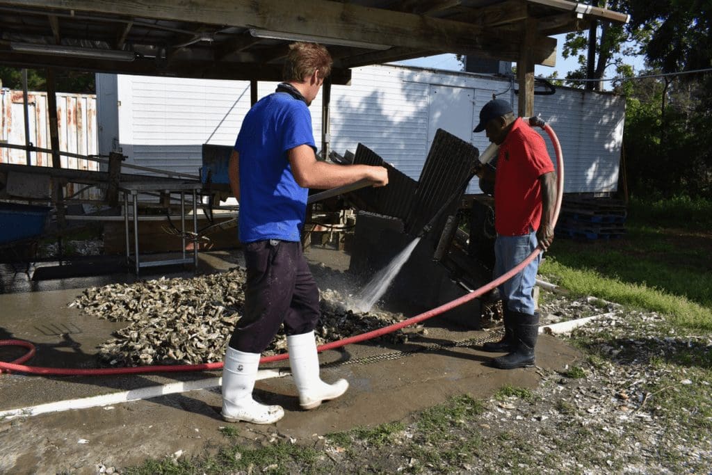 Why Visit Beaufort, SC? Things to Do Beaufort Bluffton SC