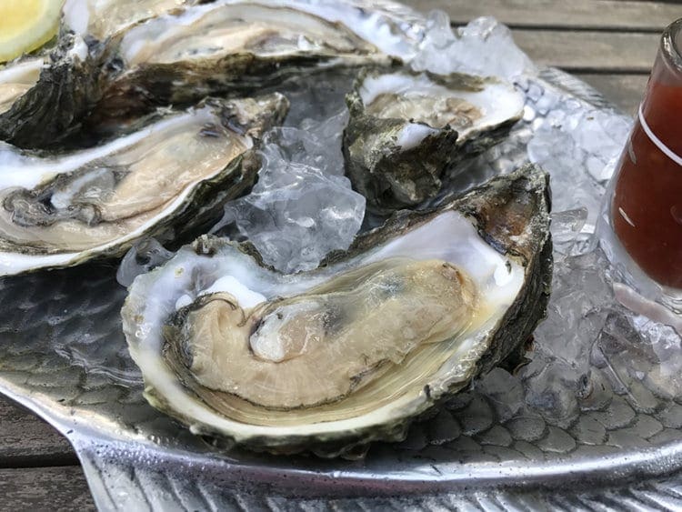 Maggioni Oyster Company Bluffton SC