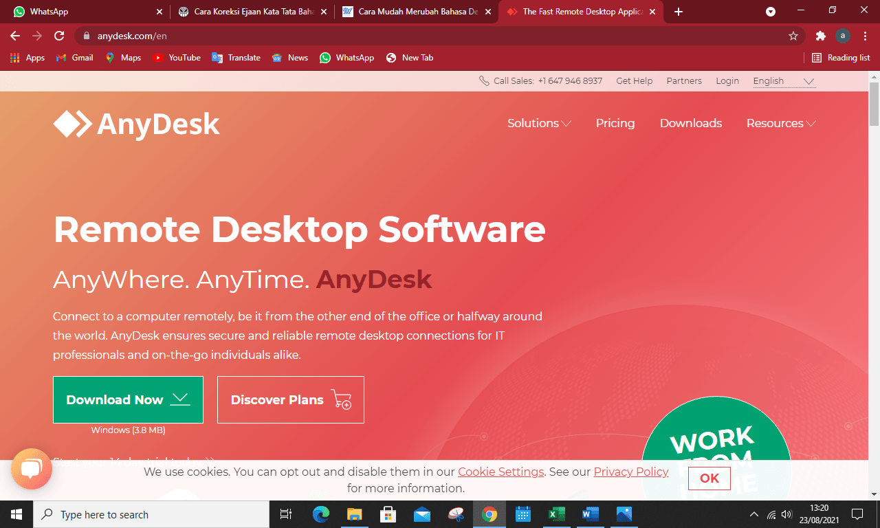 Anydesk install in windows 10 polsure