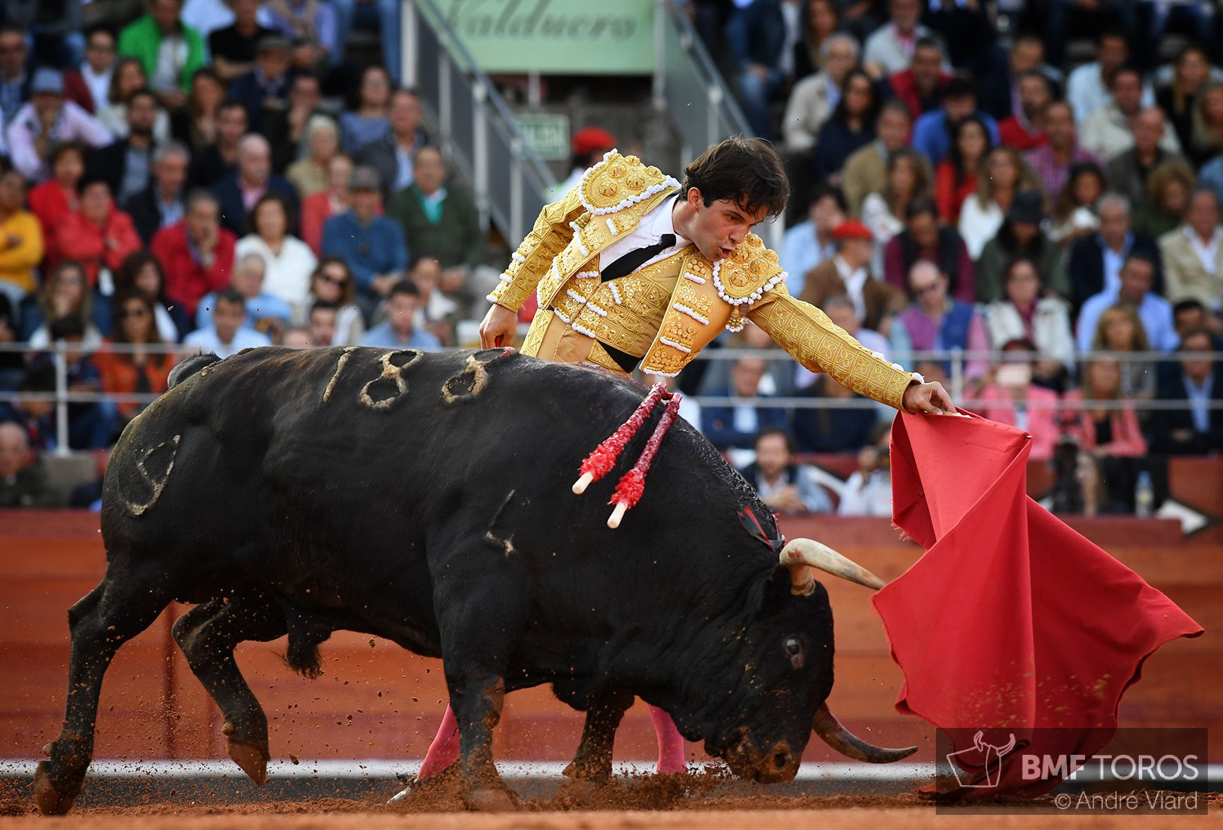 Juan del Álamo Toreros BMF Toros