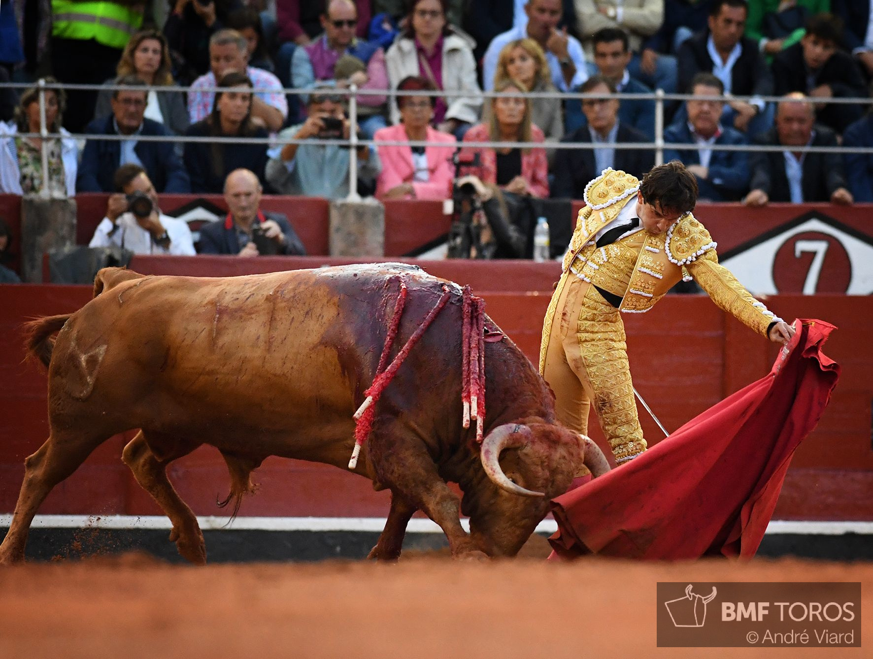 Juan del Álamo Toreros BMF Toros