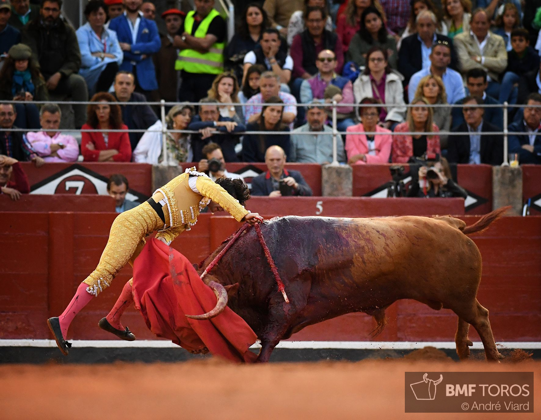 Juan del Álamo Toreros BMF Toros