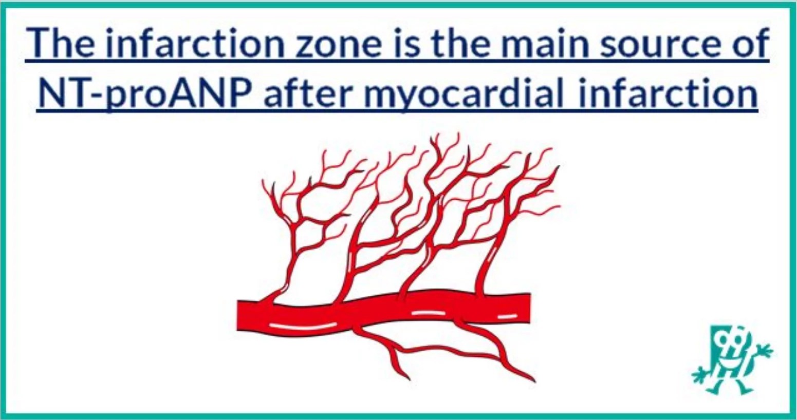 The infarction zone is the main source of NTproANP after mycardial