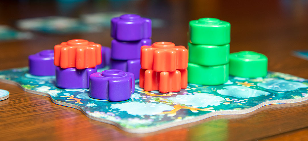 Reef Review Board Game Quest