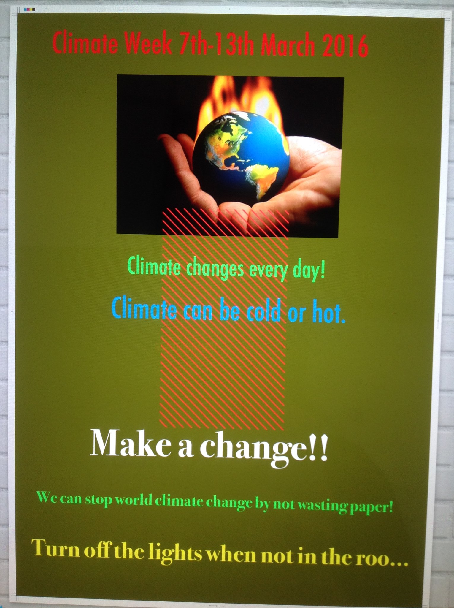 Climate Change Boarshaw Primary School