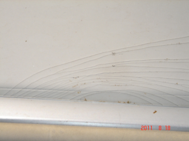 Need Help - 1978 Thompson 18 Spider Cracks - Gelcoat Or Paint | Boat Design Net