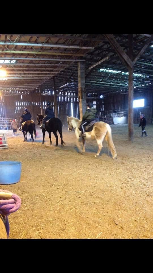 Horseback riding, Boarding, Horse Training Westford, MA