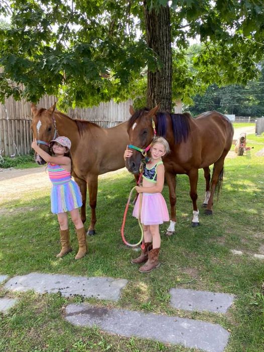 Horseback riding, Boarding, Horse Training Westford, MA