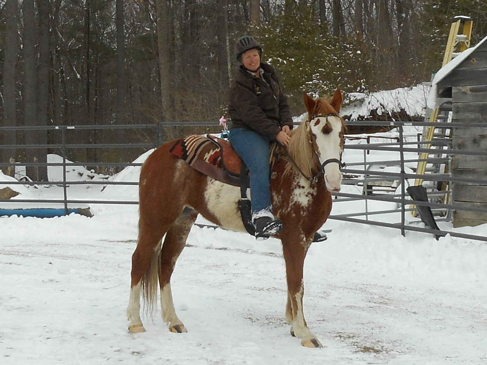 First Ride Horse & Horsemanship Training Upton, MA
