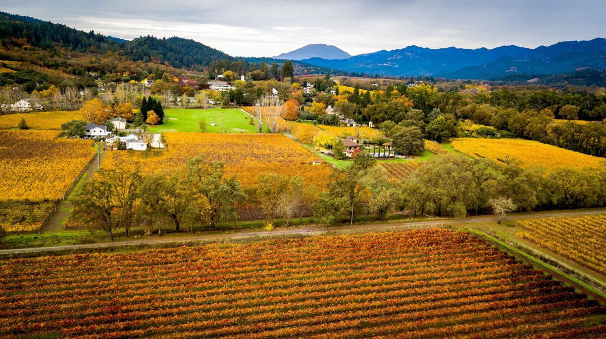 Napa Valley Real Estate & Vacation Rentals Bob Pennypacker