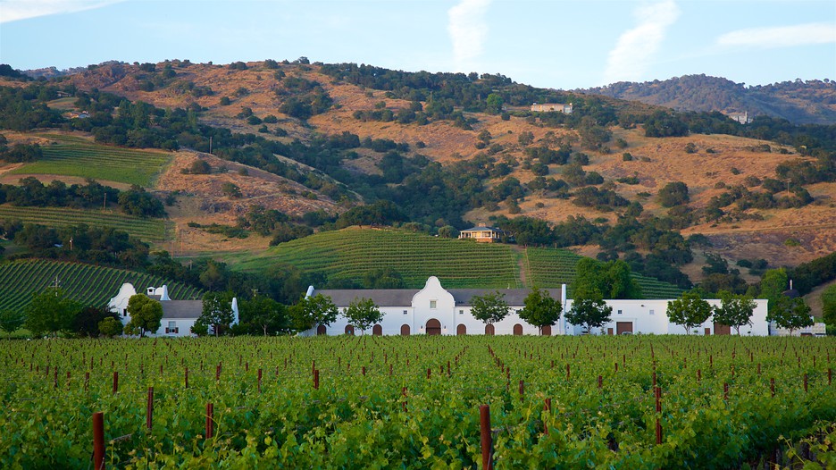 Napa Valley Real Estate & Vacation Rentals Bob Pennypacker