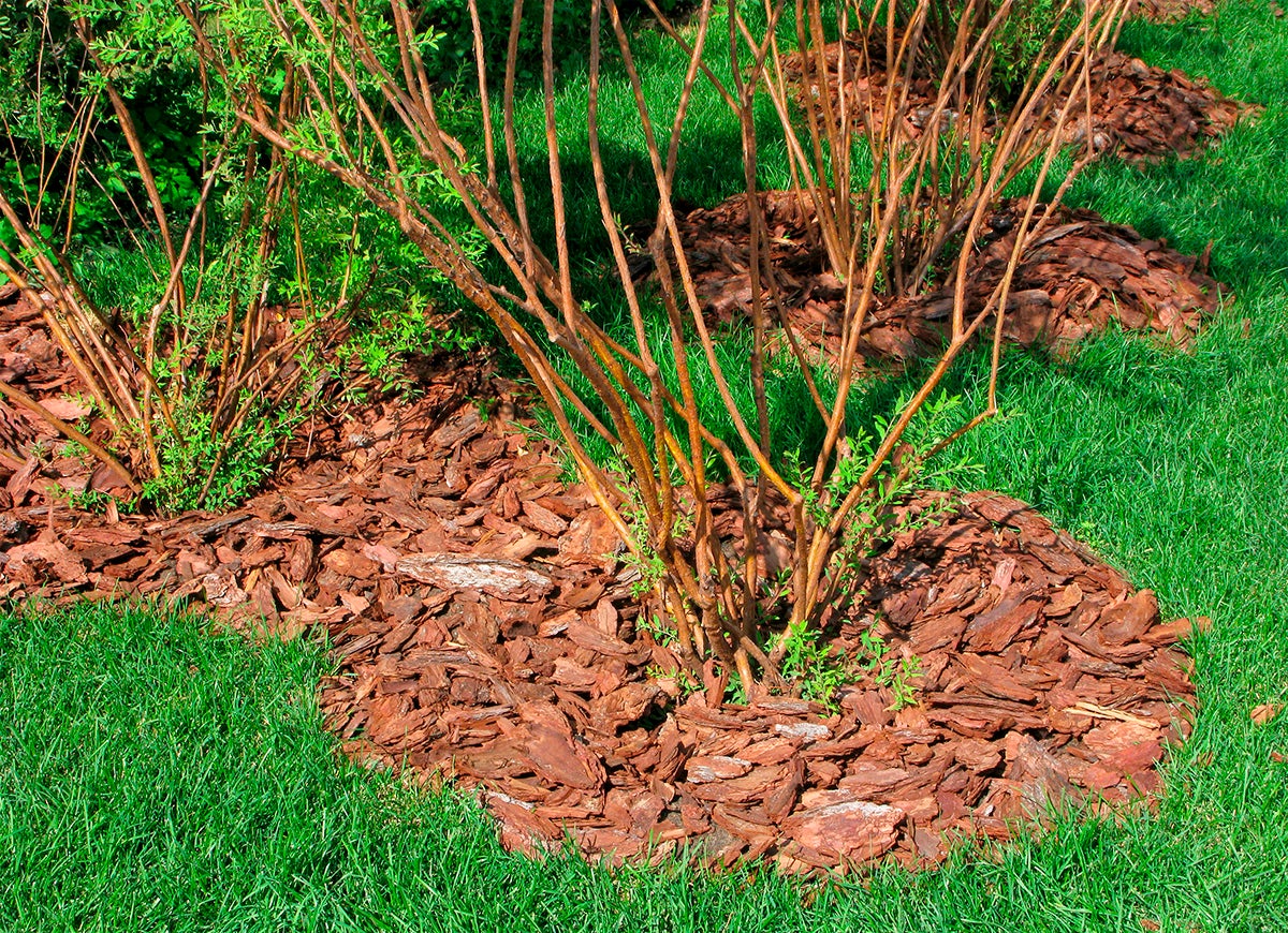 9 Reasons You Should Mulch Your Garden Every Fall - Bob Vila