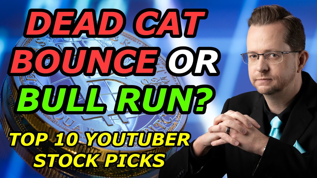 CRYPTO DEAD CAT BOUNCE OR NEW BULL RUN? Top 10 YouTuber Stock Picks