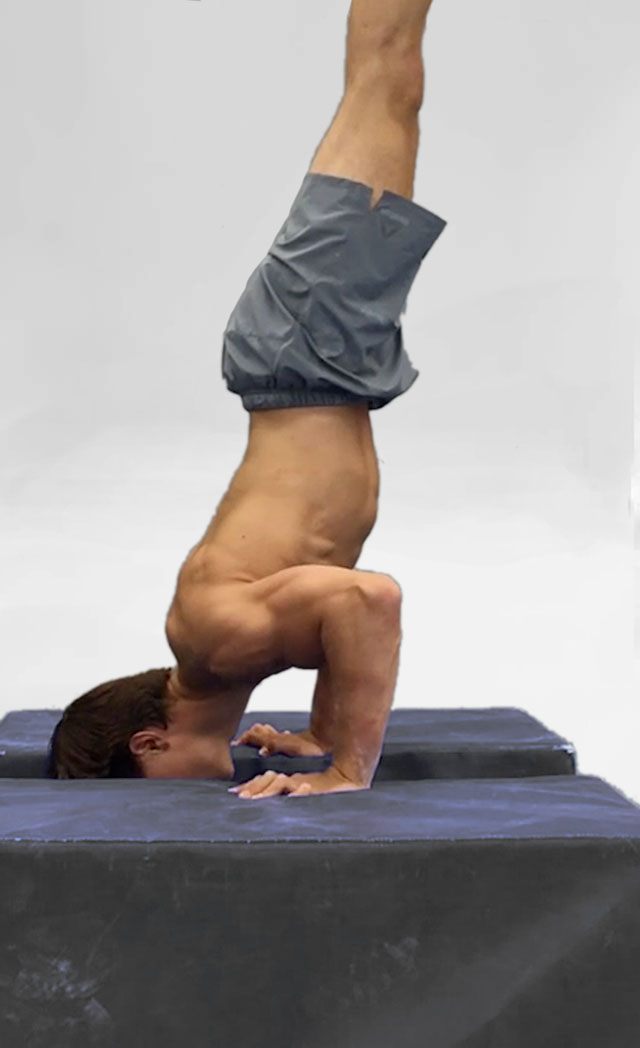 HandStand Push Up Hands Elevated BodBot