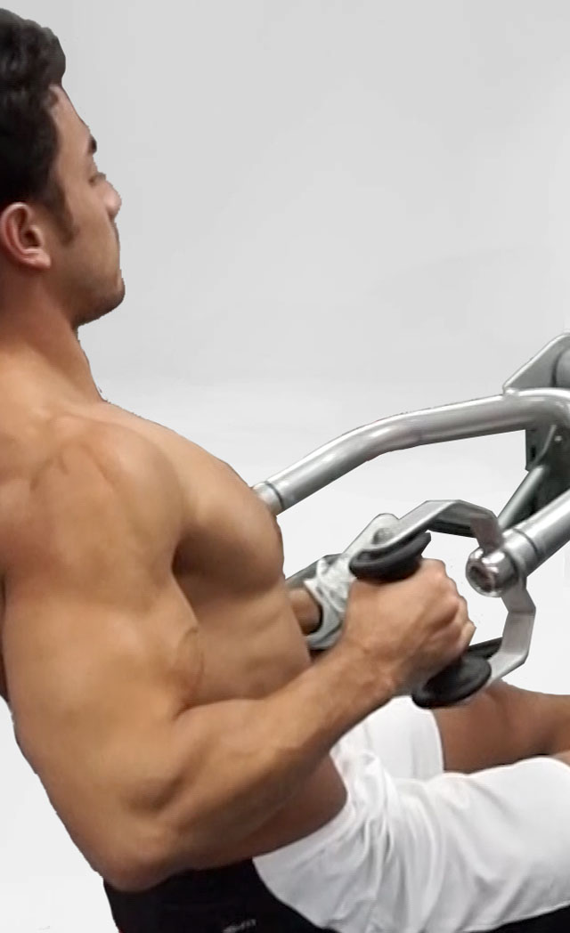Seated Machine Row BodBot