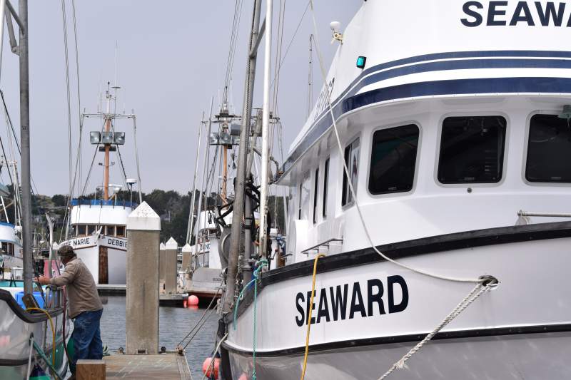 Salmon season flops Drought years cut North Coast salmon population