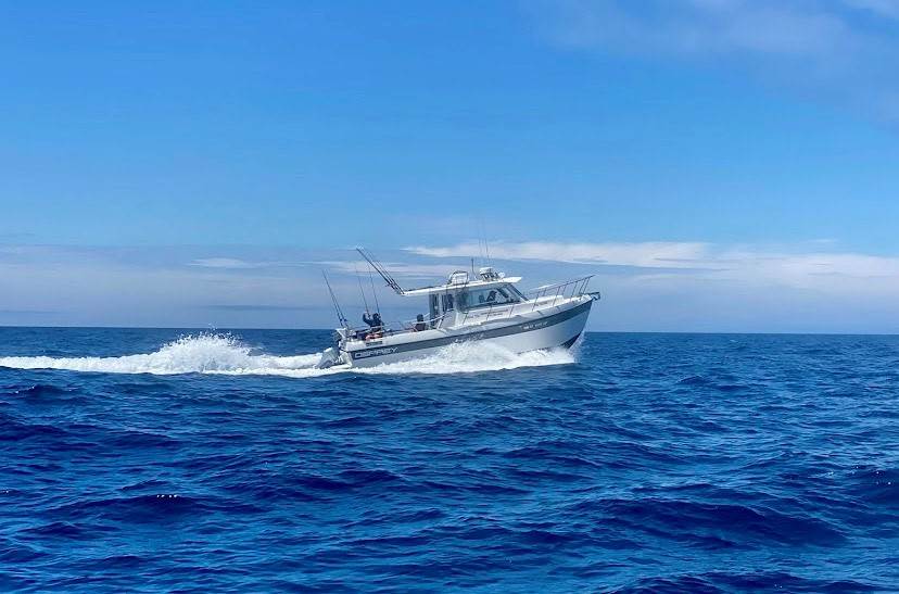 Fishing In Bodega Bay and Sonoma County The Official Bodega Bay Area