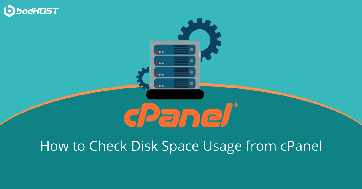 How to Check Disk Space Usage from cPanel bodHOST