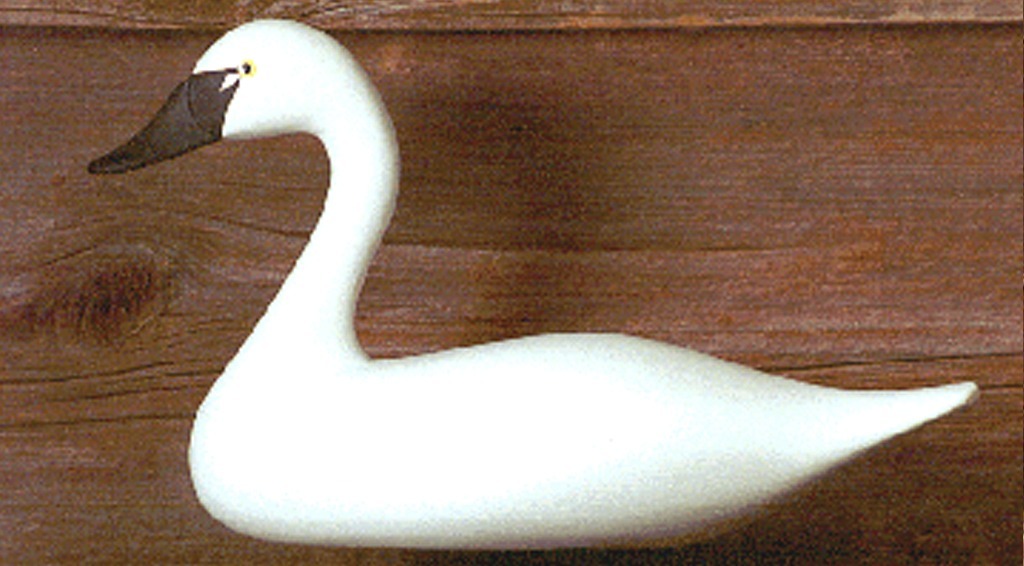 Tundra Swan Quarter Size Bodt Decoys