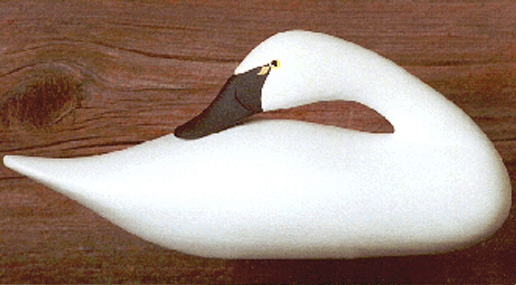 Tundra Swan Quarter Size Sleeper Bodt Decoys