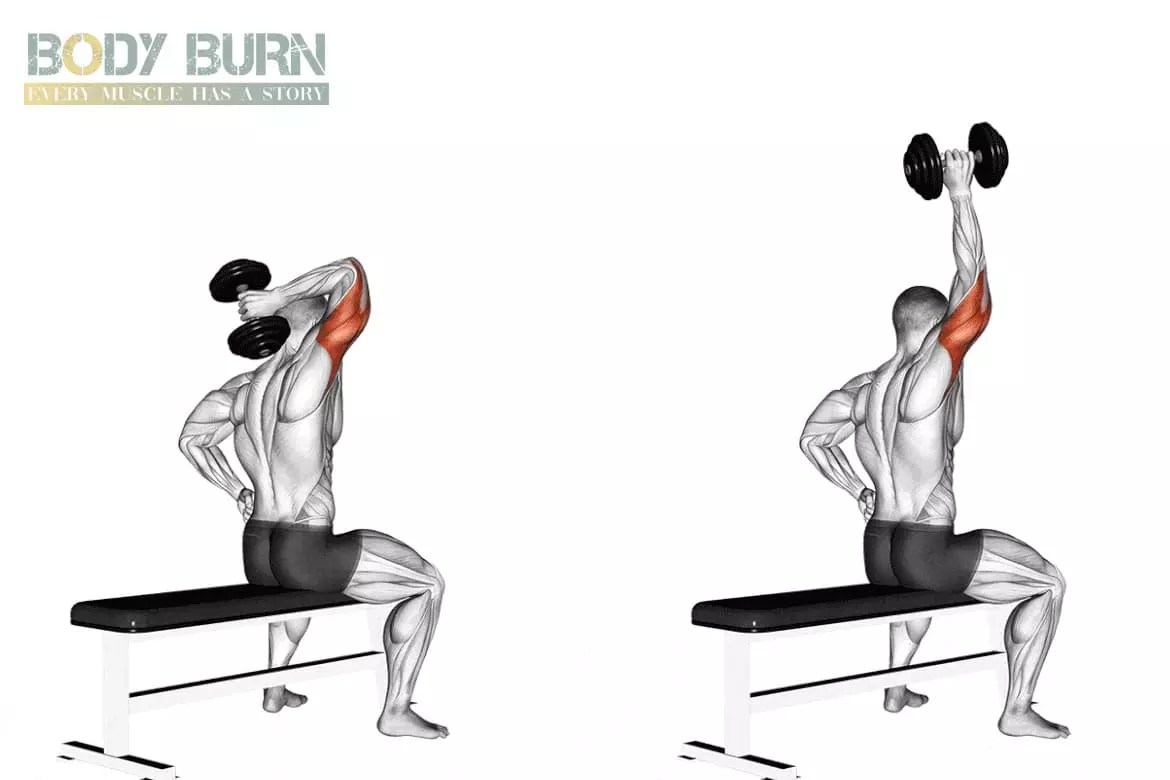 Extensions verticales d’un bras avec haltère Exercices Body Burn