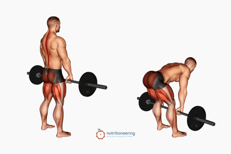 7 Best Barbell Hamstring Exercises (with Videos!)
