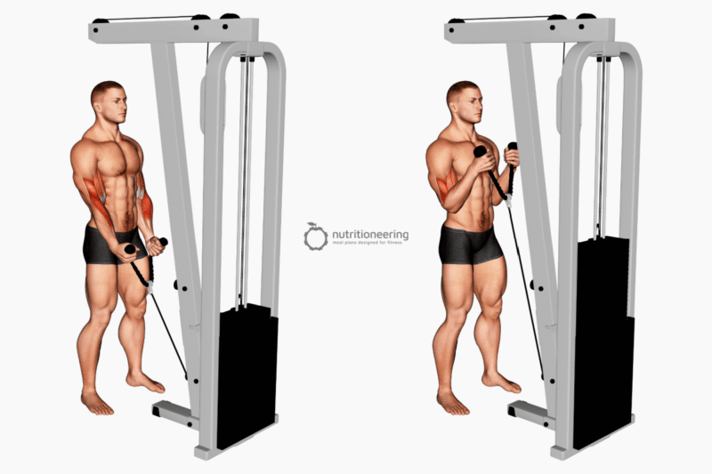 21 Cable Arm Exercises to Grow Biceps & Triceps