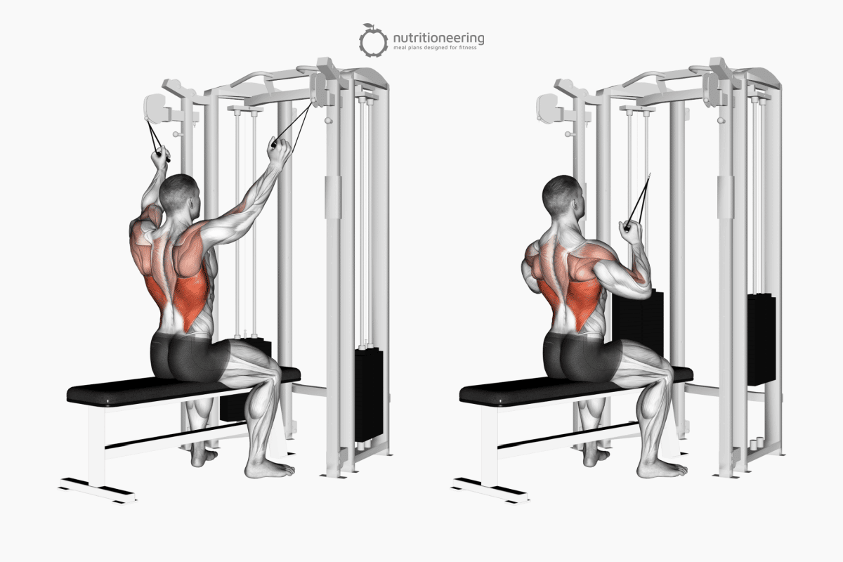 High Row Machine Alternatives for Any Gym Nutritioneering