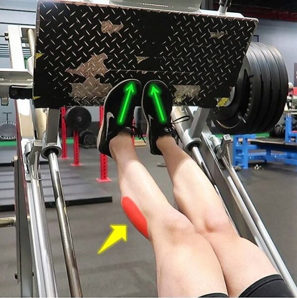 Leg Press Calf Raise Foot Placement & Proper Form