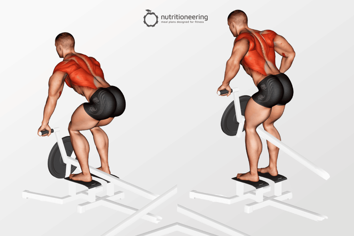 T Bar Row Alternative