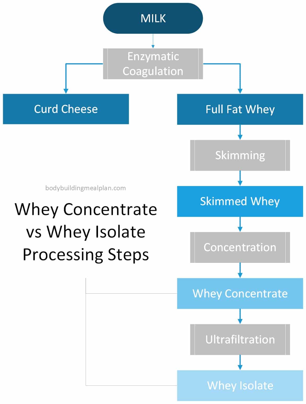 Whey Protein Isolate vs Concentrate Which Is Better For Quality & Cost