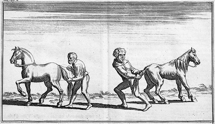 Erasmus von Rotterdam, Lob der Torheit