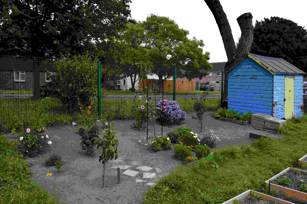 Allotments Bognor Regis Town Council