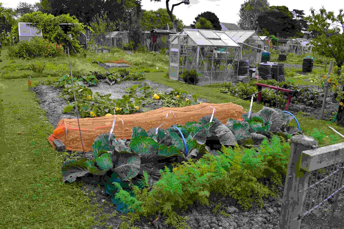 Allotments Bognor Regis Town Council