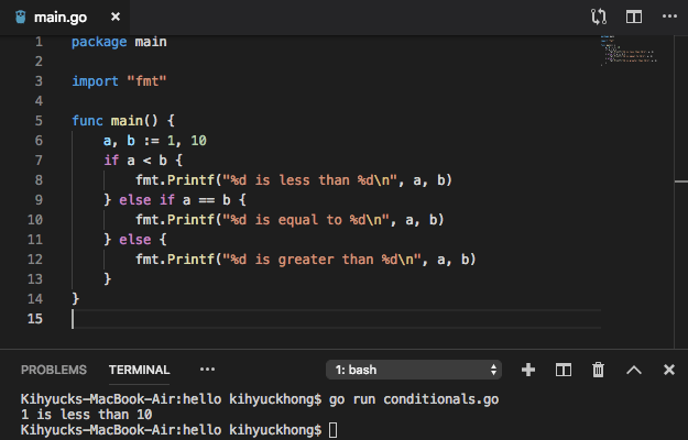 GoLang Tutorial Conditionals 2020