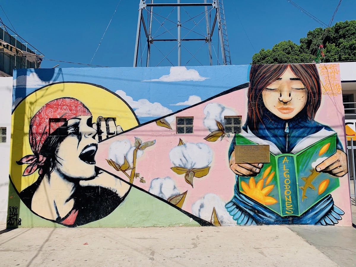 los algodones art Bohemian Vagabond Jacki Ueng