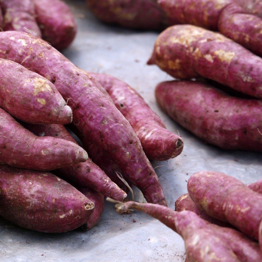 How To Boil Sweet Potato