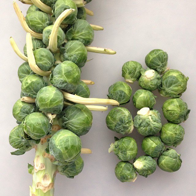How To Boil Brusselssprouts